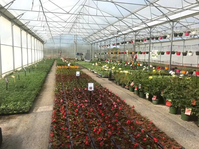 Les serres des Champs Galottes