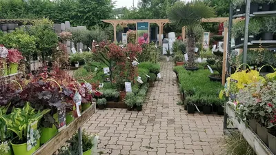 Les 15 magasins de jardinage de Yonne