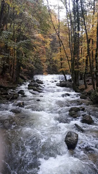 Brulerie Du Revermont