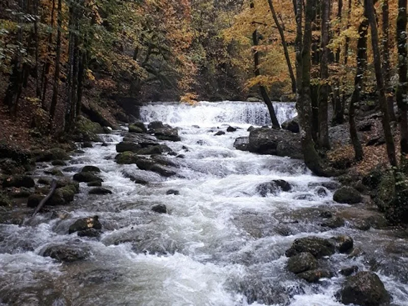 Brulerie Du Revermont