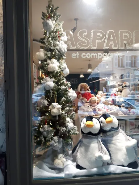 Librairie Des Arcades