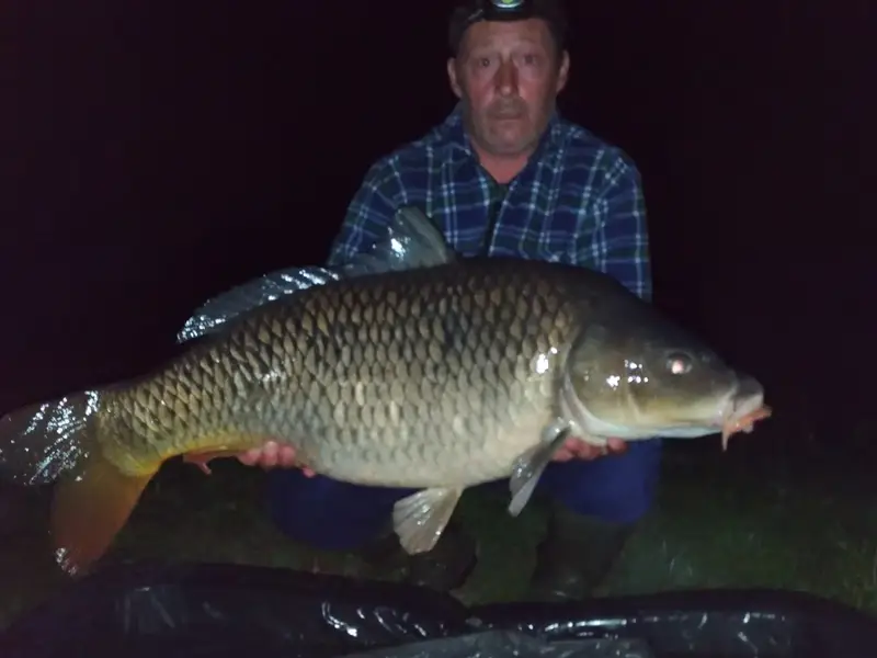 Restaurant de la rive