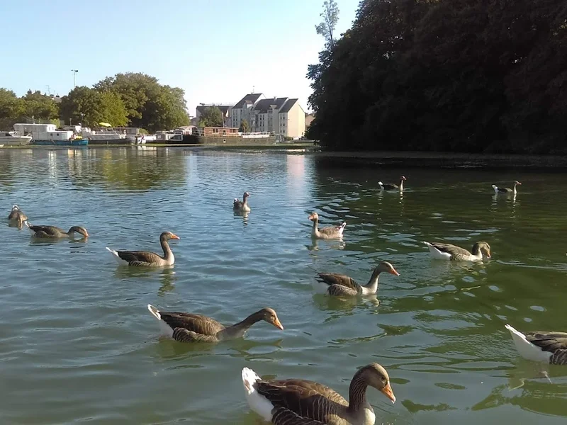 Au coeur de l'Afrique