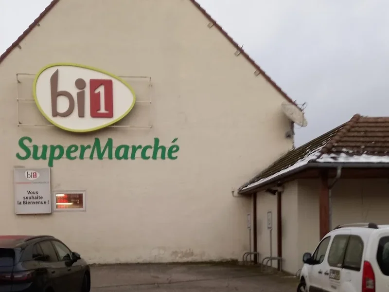 bi1