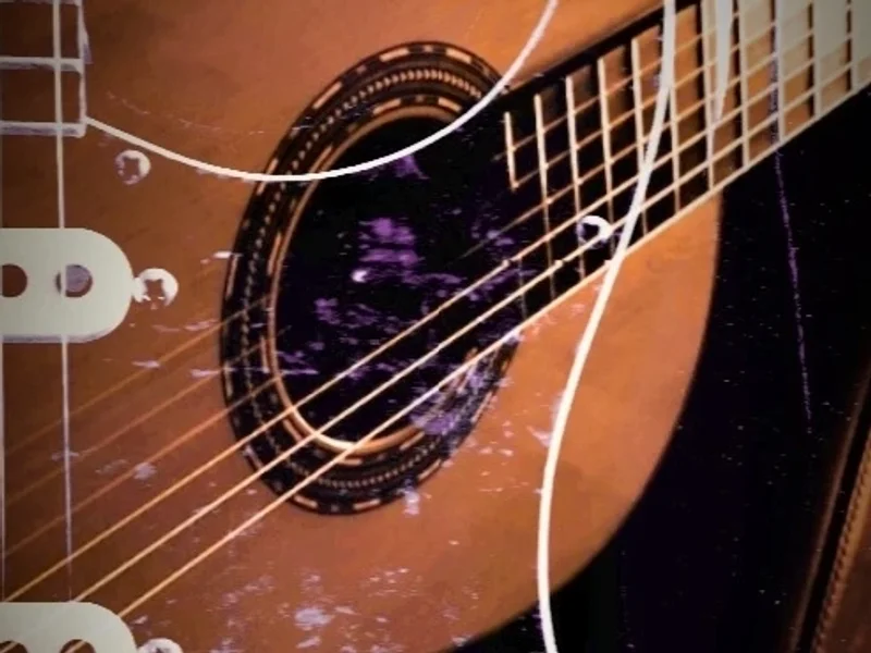 Cours de Guitare / Ukulélé Auxerre Raphael Moyse