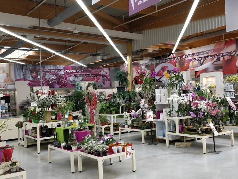 Bricomarché Montmorot