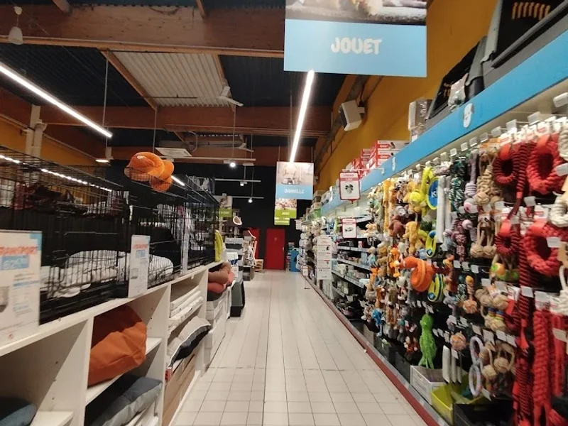 Médor et Compagnie Saint Rémy