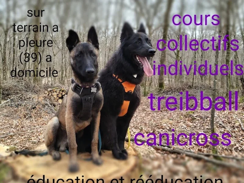 Plenidog éducation canine Jura