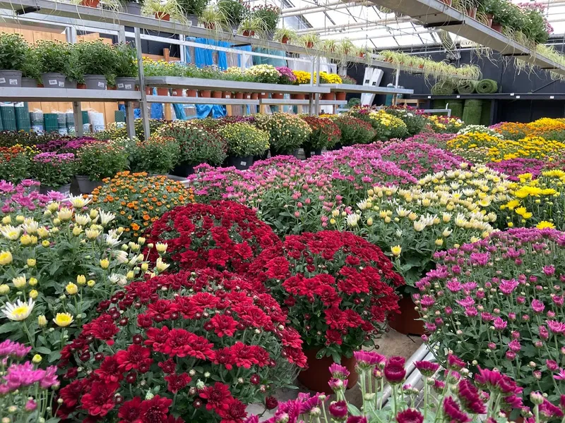 Jardinerie Toulousaine