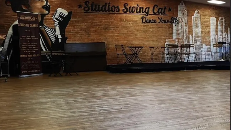 Studios Swing Cat