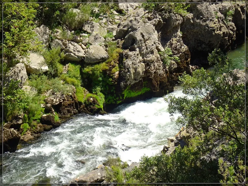 Gorges de l'Hérault