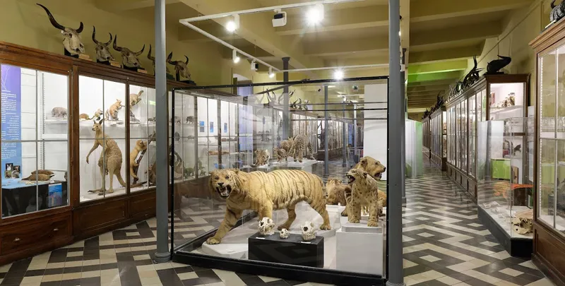 Museum d'histoire naturelle et préhistoire de Nîmes