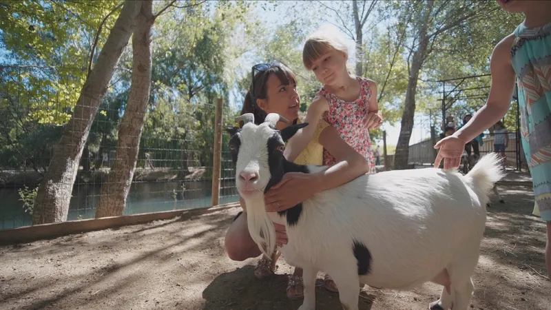 LES PETITS FERMIERS - Parc animalier et de loisirs - Lansargues