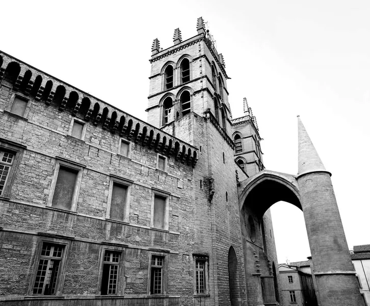 La Paroisse Cathédrale Montpellier