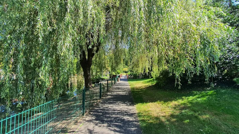 Parc de la banane