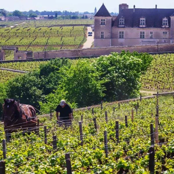 LE CELLIER SAINT CHARLES