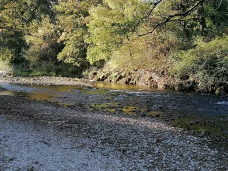 Les 21 activités à faire en famille de Longvic Côte-d'Or