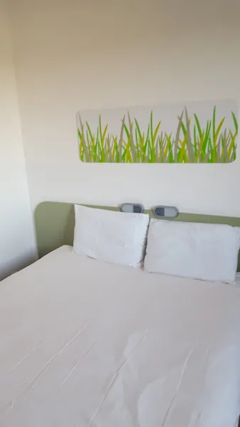 ibis budget Roanne