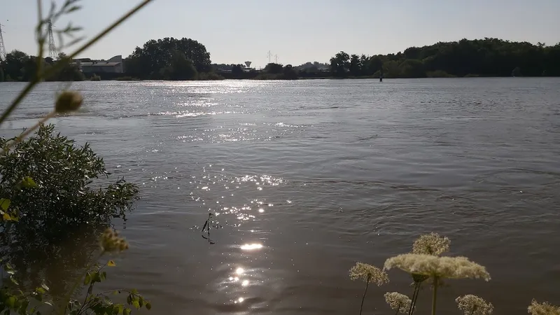 Parc Écologique et Sportif Eugène Freyssinet - Le Grand Chalon