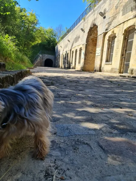 Parc de la Redoute de Saint-Apollinaire