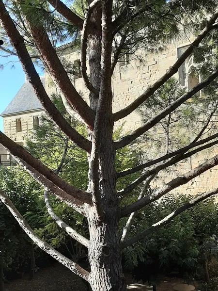 Au Jardin de la Tour