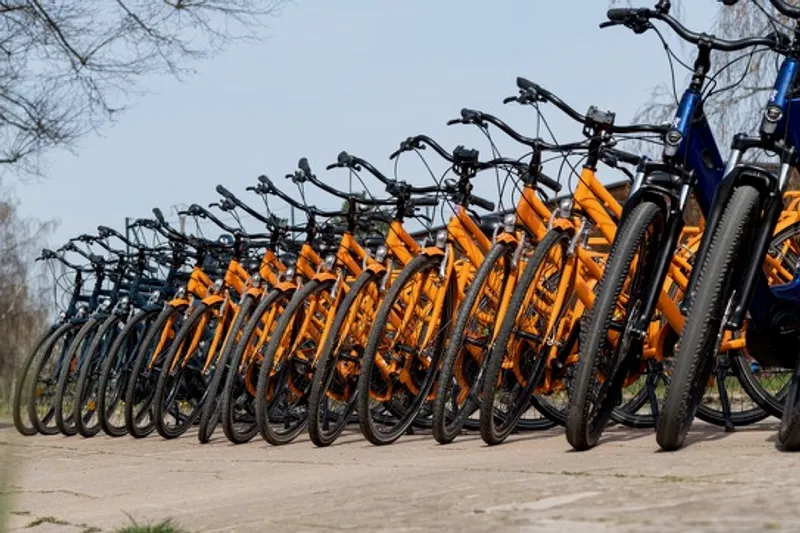 Les Vélos de Cluny