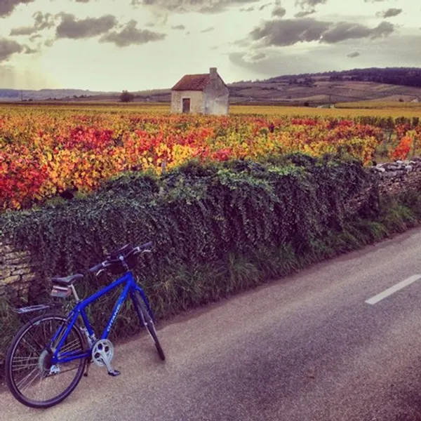 Bourgogne Randonnées location vélo électrique Beaune