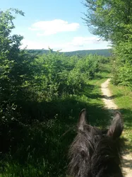 Les 5 centre équestre de Doubs