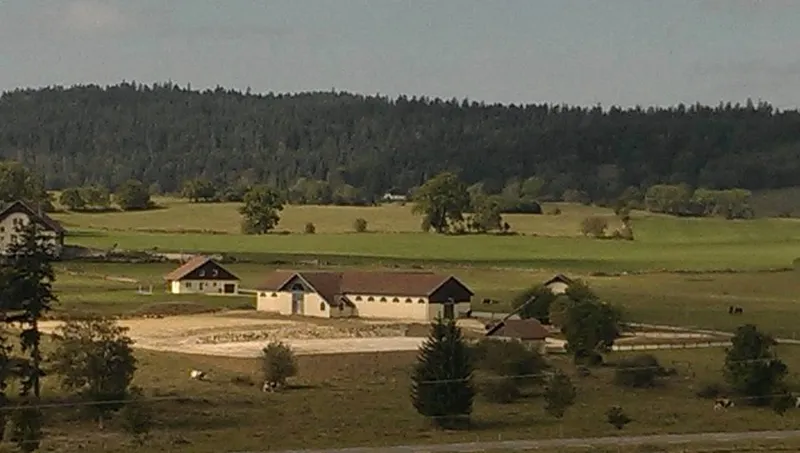 Les Haras du Petit Bois