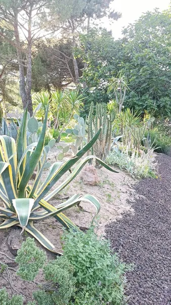 Parc Géo Botanique