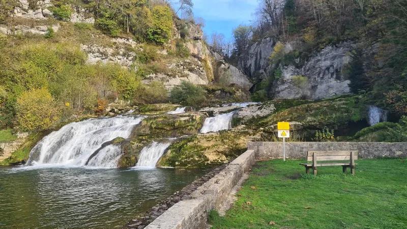 Les pertes de l'Ain