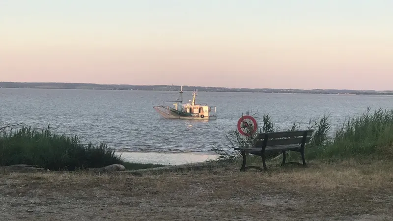 La Guinguette De La Maréchale