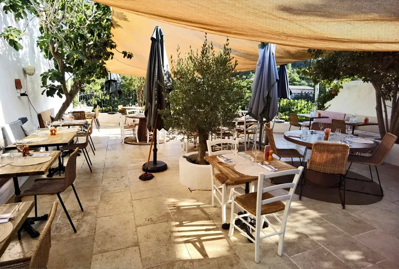 Picotte Provence