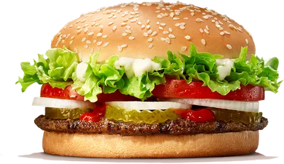 Les 11 burgers de Alpes-de-Haute-Provence