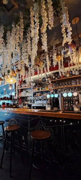 Ecto Bar