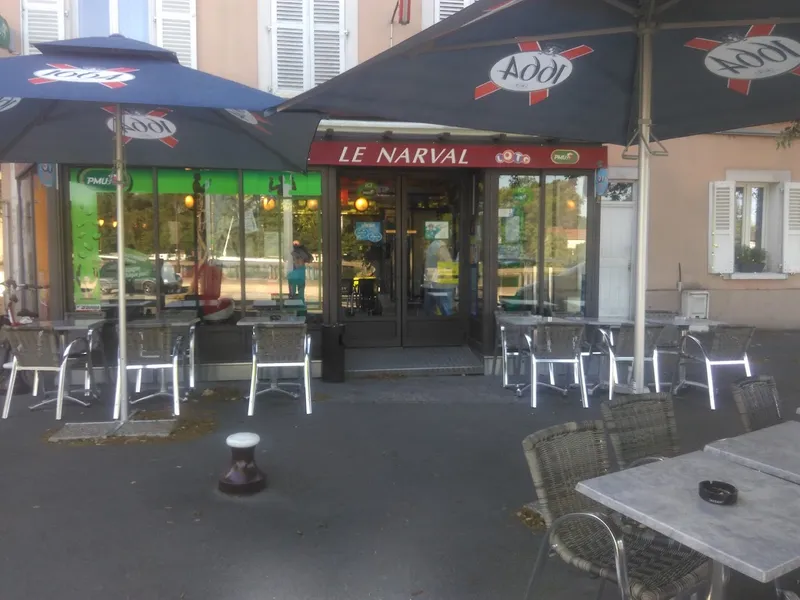 Le Narval