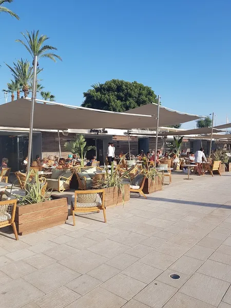 Harry's Bar Cannes
