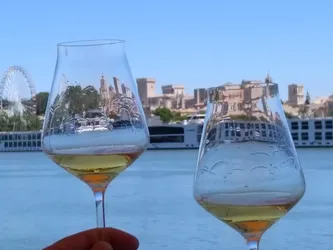 Les 6 bars à vin de Vedène Vaucluse