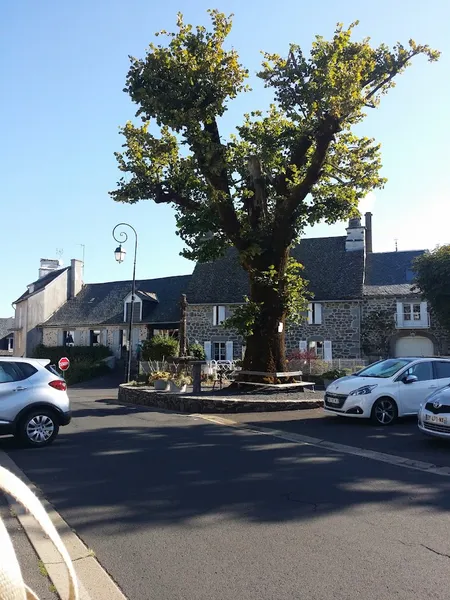 Calvagnac Bernard