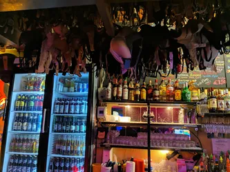 Les 5 bars de Vienne