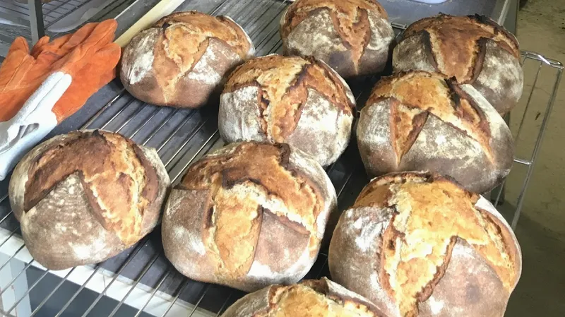 Le Fournil du lapin blanc
