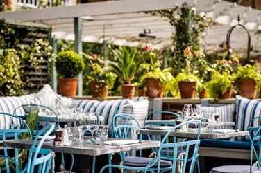 Top 17 dog friendly restaurants in Chelsea LONDON