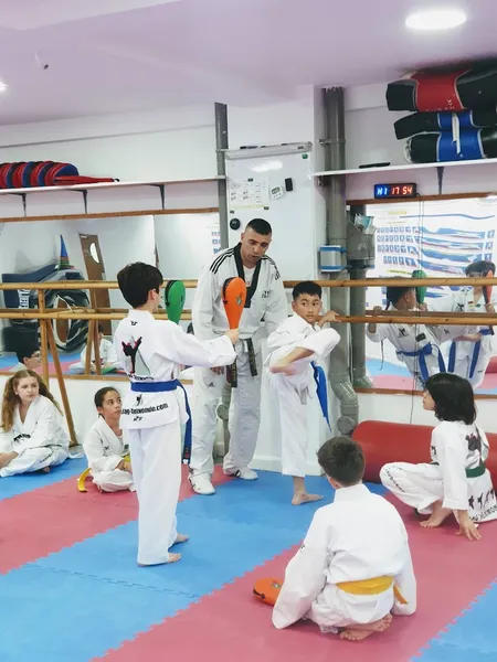 Bozdag Taekwondo Academy