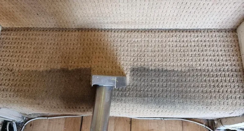 Deep Clean Carpet & Rug Cleaning