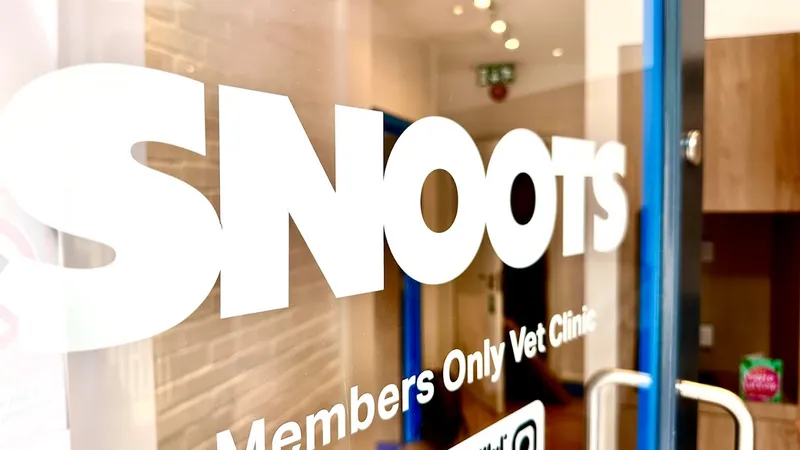 Snoots Vet