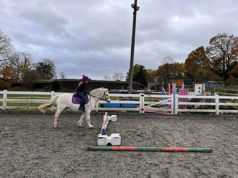 Frith Manor Equestrian Centre