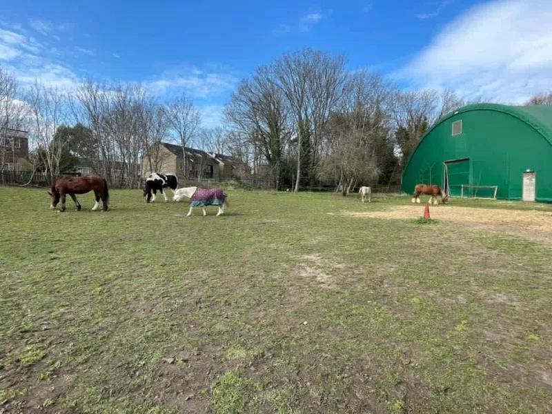 Aldersbrook Riding School