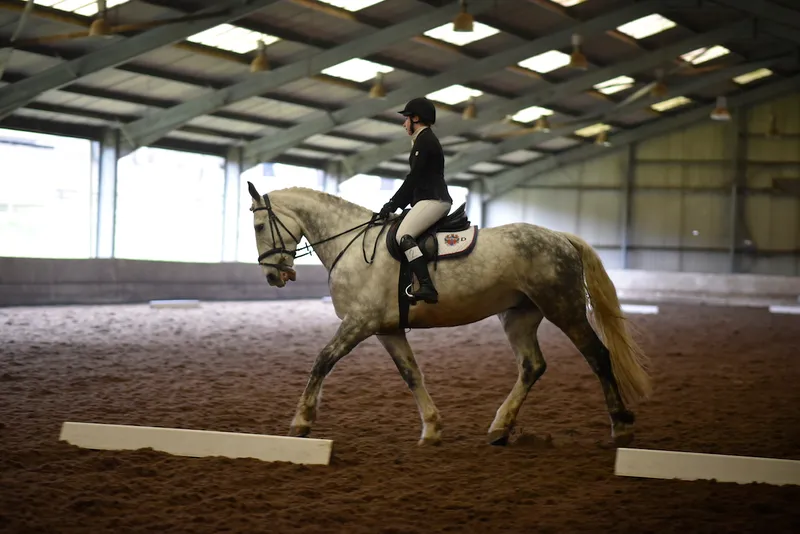 Trent Park Equestrian Centre