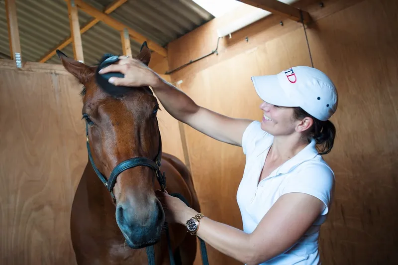 Lee Valley Riding Centre