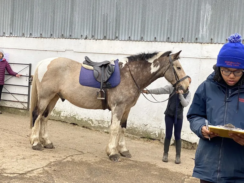 Mottingham Farm Riding Centre